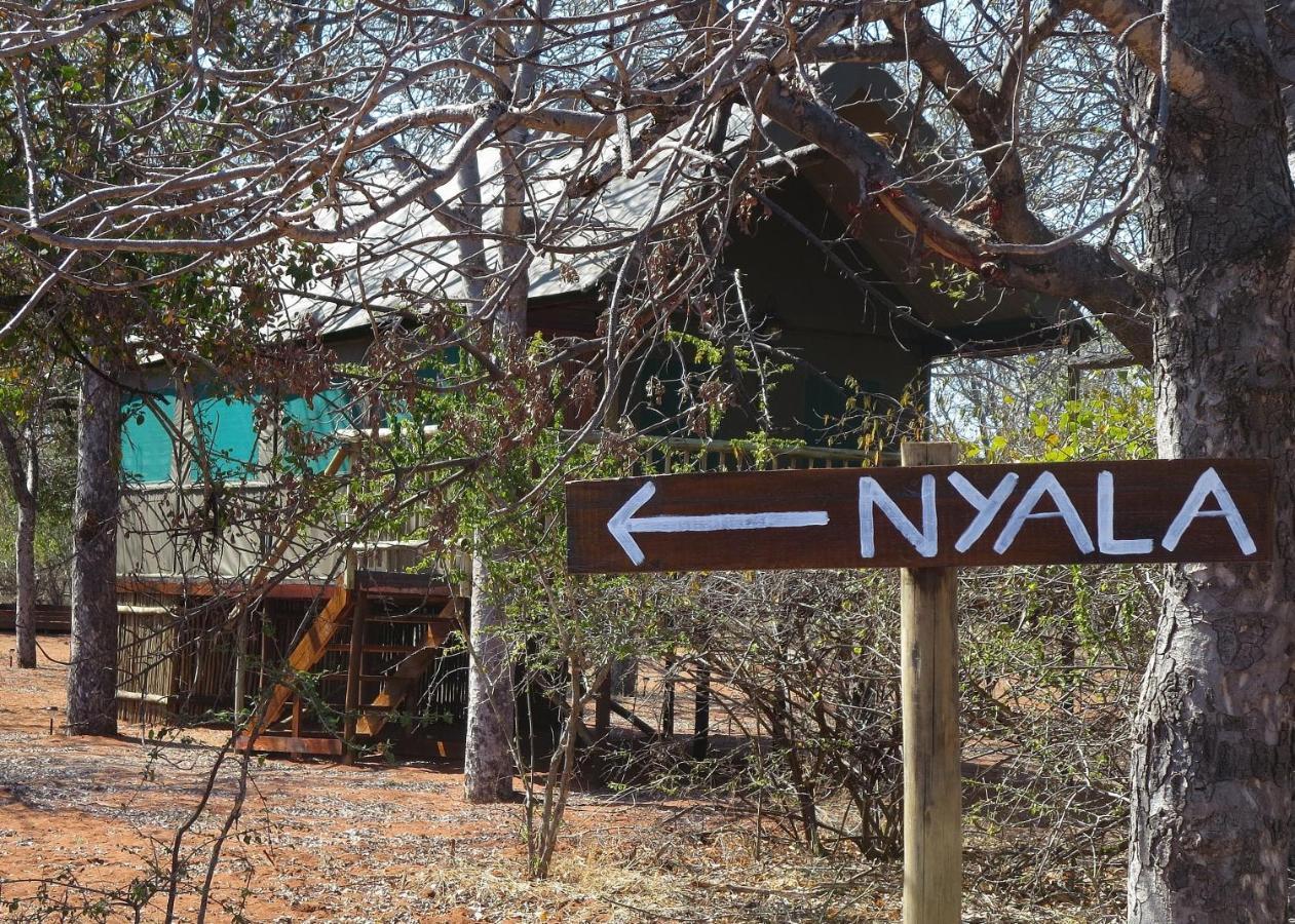 Iphofolo Lodge & Tented Camp Vivo المظهر الخارجي الصورة