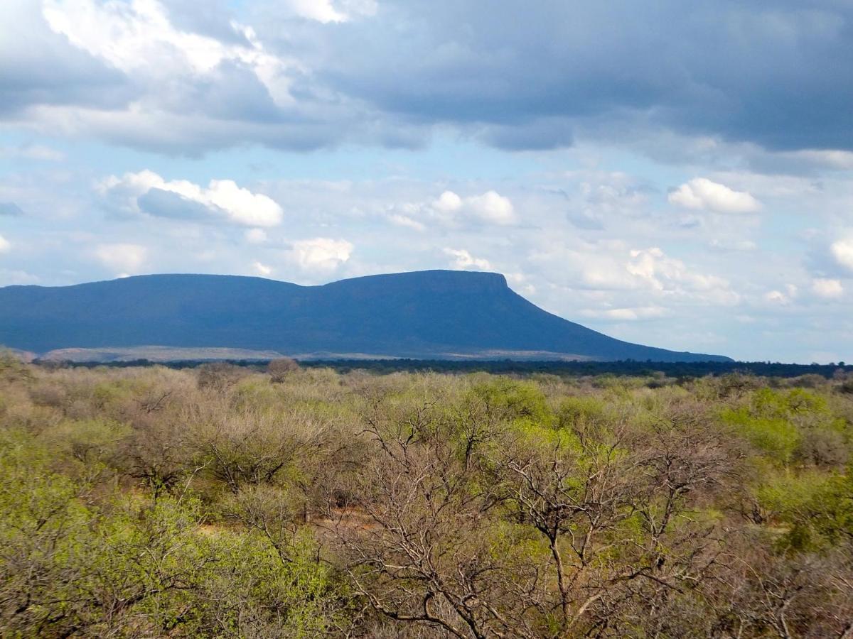 Iphofolo Lodge & Tented Camp Vivo المظهر الخارجي الصورة