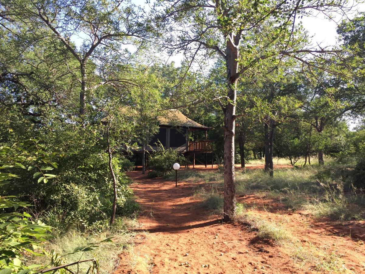 Iphofolo Lodge & Tented Camp Vivo المظهر الخارجي الصورة