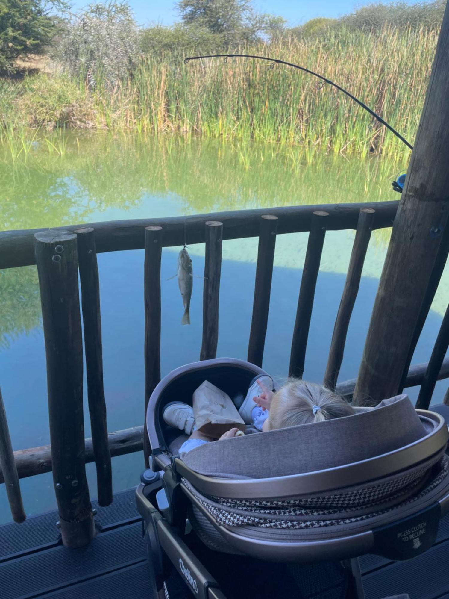 Iphofolo Lodge & Tented Camp Vivo المظهر الخارجي الصورة