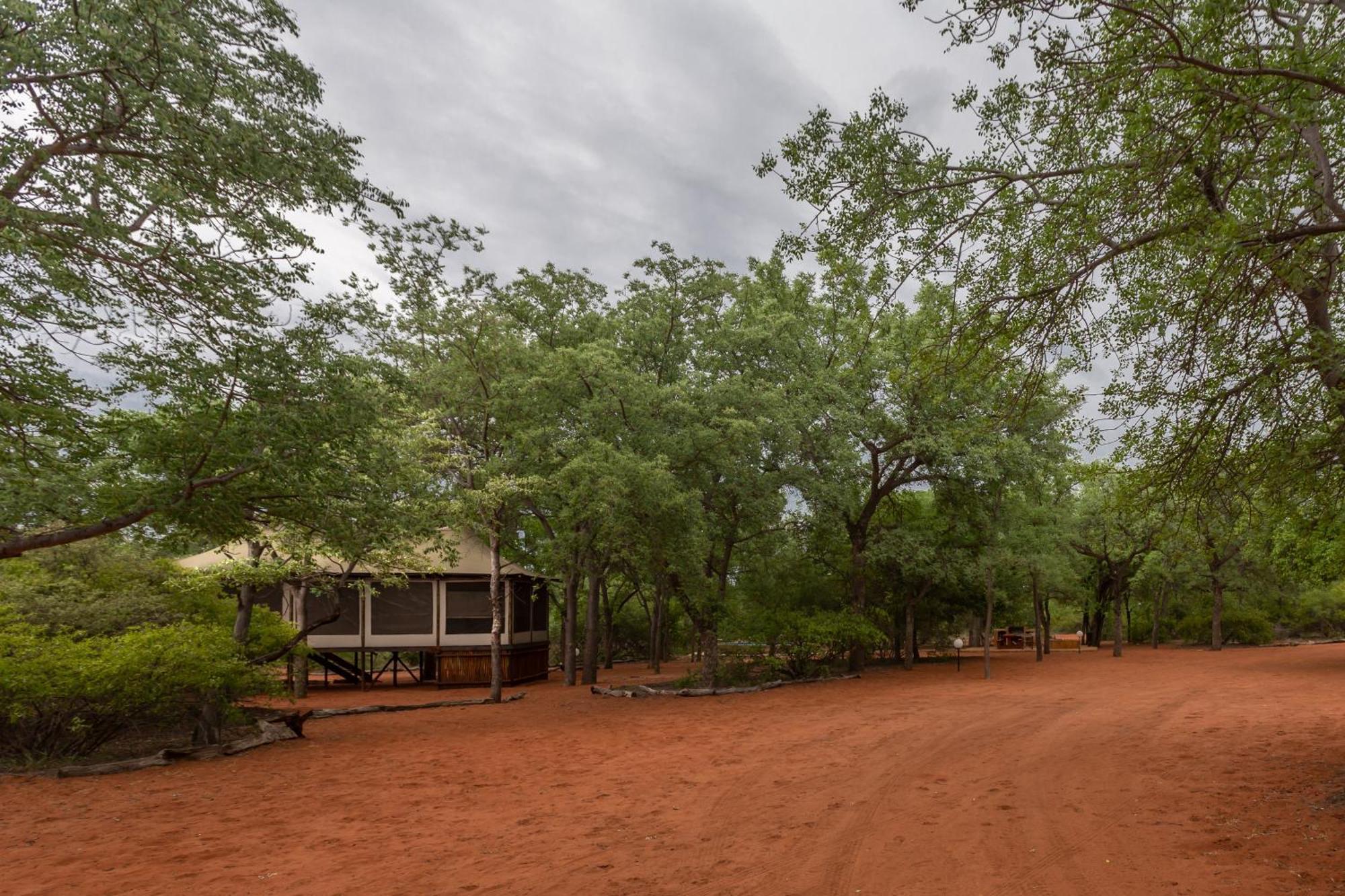 Iphofolo Lodge & Tented Camp Vivo المظهر الخارجي الصورة