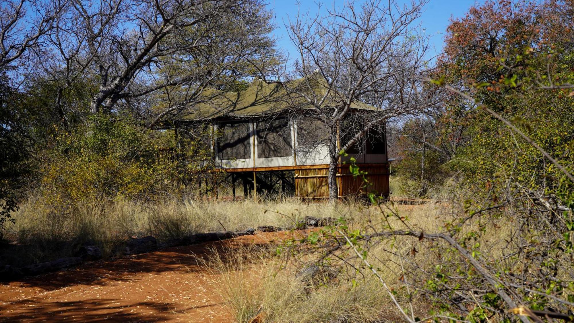 Iphofolo Lodge & Tented Camp Vivo المظهر الخارجي الصورة